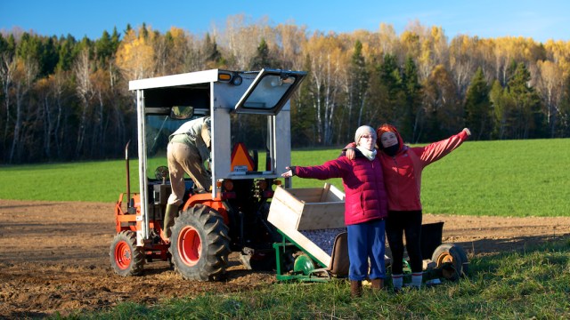 semoir garlic ail seeder